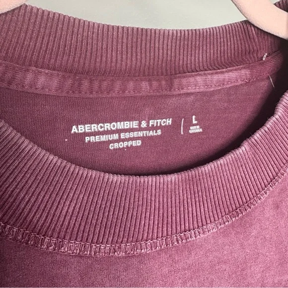 SOLD - NWT Abercrombie & Fitch Men's Premium Heavyweight Cropped T-Shirt - Burg… - Picture 6 of 9